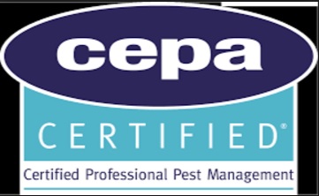 Certificato 16636 CEPA