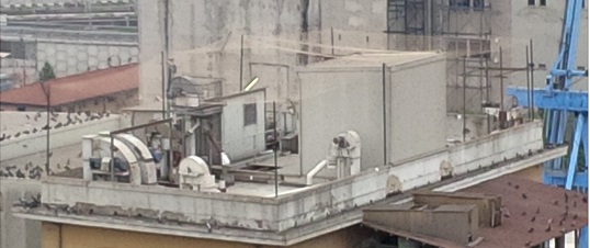 Rete piccioni